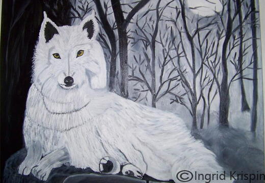 Weißer-Wolf   €135