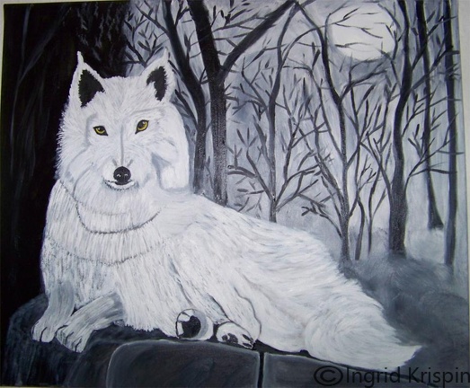 Weißer-Wolf   €135